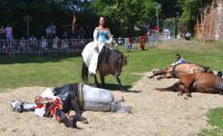 Presentation a la Cour