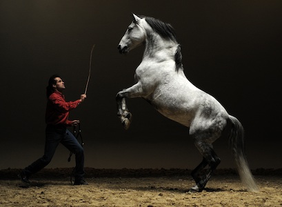 Marc Devallois et son cheval cabré en liberté pour un clip vidéo
